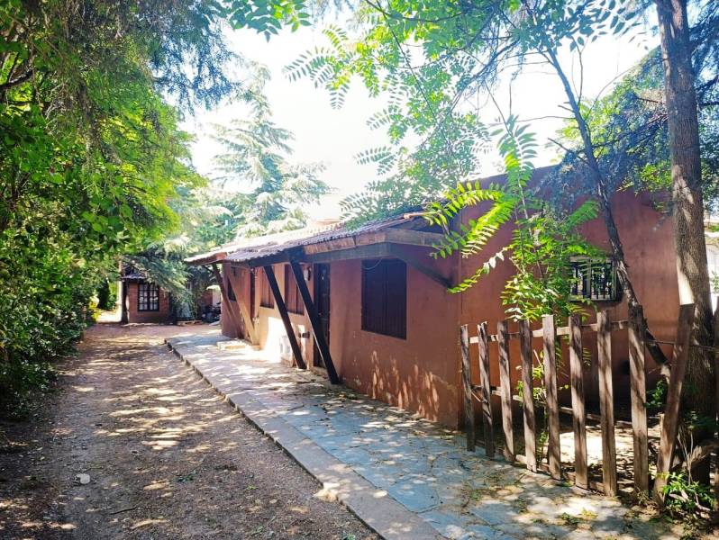 WhatsApp Image 2026-01-21 at 10.03.34 AM