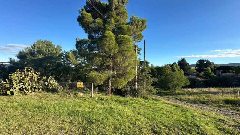 WhatsApp Image 2026-04-02 at 5.49.57 PM