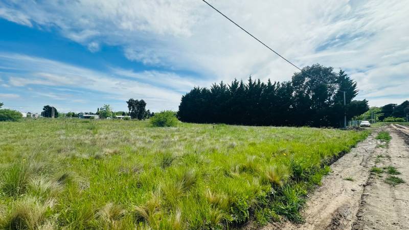 HERMOSO TERRENO SOBRE CALLE LOS NARANJOS